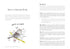 THE FIELD GUIDE TO DUMB BIRDS OF THE WHOLE STUPID WORLD - KRACHT. MATT